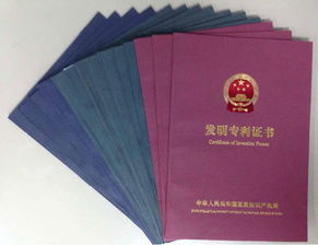 寧波專利代理收費(fèi)標(biāo)準(zhǔn)、服務(wù)廠家及知識產(chǎn)權(quán)綜合服務(wù)解析
